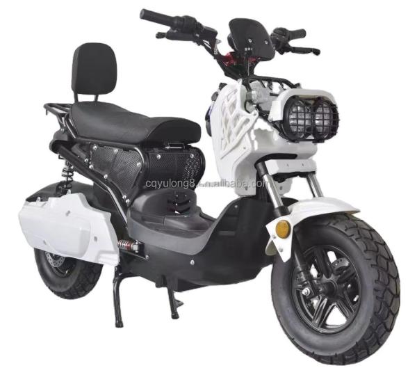 60V Electric Motorcycles EEC Electric Bike Electric Scooter Moped City Bike for