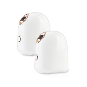China CE ABS Shell Spa Ozone Nano Ionic Facial Steamer wholesale