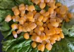 Non GMO 5.29oz Yellow Sweet Canned Corn Kernels