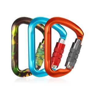 China Aluminum 30KN D Shape Climbing Snap Hook Customized Outdoor Carabiner wholesale