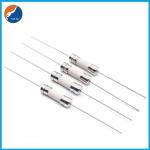 250V 5x20mm Slow Blow Fuse 25 Amp Time Delay Fuse Electronic Copper End Cap