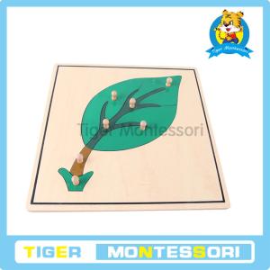 China Montessori wooden puzzles,Leaf Puzzle wholesale