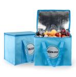 Thermal Insulated Carry On Picnic Cooler Bag Waterproof Zipper Closure