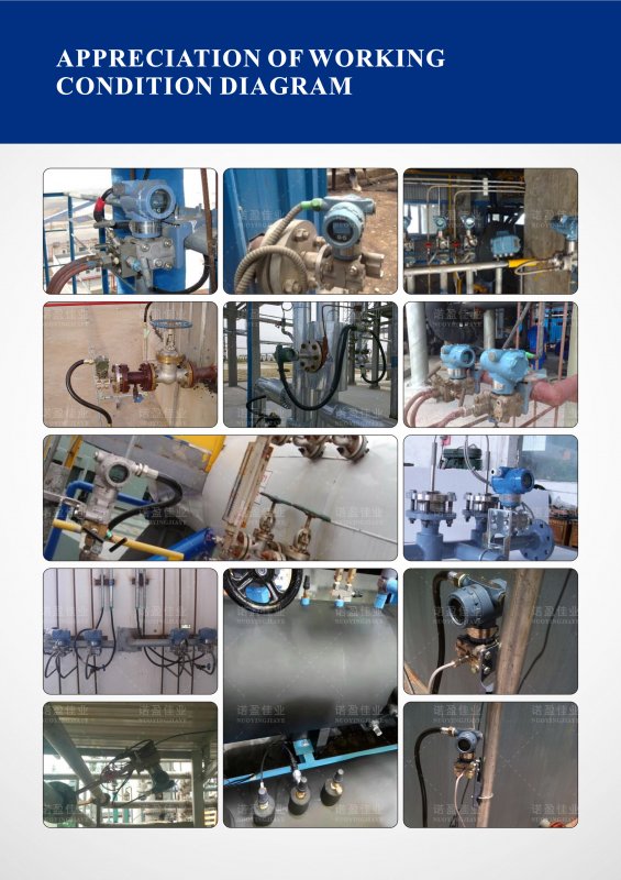 Explosion Proof Water Tank Side Remote Control Indicator Power Plant 4-20 mA Radar Level Meter Field Display Controller