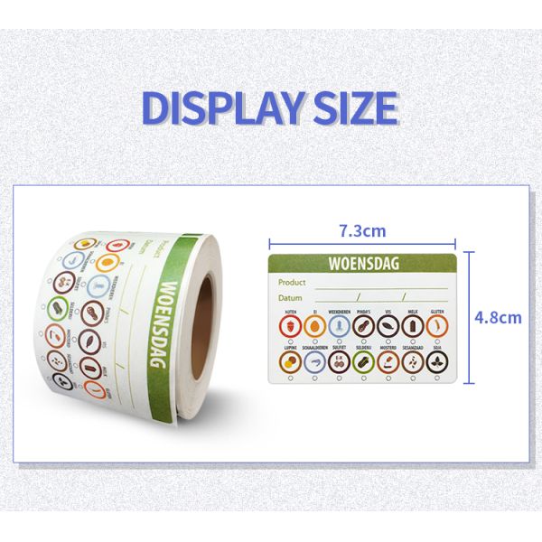 Color Fluorescent A4 Label Stickers - High Visibility Warning Labels
