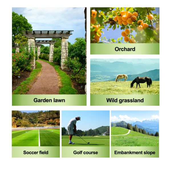 US Spot Remote Control Brush Lawn Mower, Terrain Adaptive Crawler Movement, Wear-resistant Blades, Professional Equipment