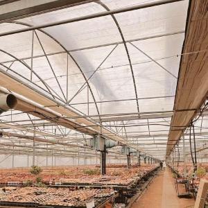 China Vegetable Production Po Film Greenhouse with Water Pipe System and Low Shipping Cost wholesale