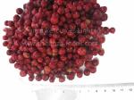 Golden Supplier of Freeze Dried Lingonberries Heathy Berries BRC certified
