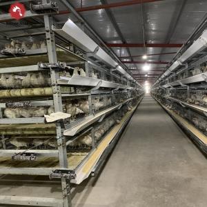 China H Frame Chicken Broiler Cage Galvanized 100*100*285 Cm 3 Tiers wholesale