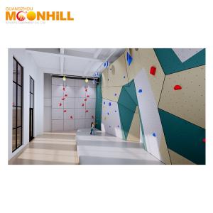 China Speed Climbing Wall Hand Grips Organic Resin Climbing Foot Holds For School wholesale