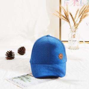 China Terry Rubber Patch Curve Brim Embroidered Baseball Caps wholesale