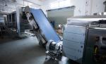 BP-650 Tortilla / Roti / Taco Production Line For International Market