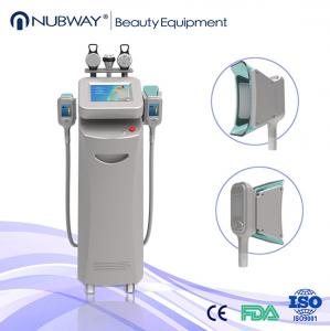 China looking for agents to distribu Cryolipolysis Slimming Machine from china on sale