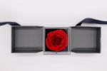 Preserved Flowers In Box Single red rose eternal flower with gift box Valentine