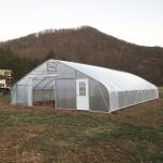 Galvanized Steel Frame Single Span PE Film Greenhouse For Flower Planting