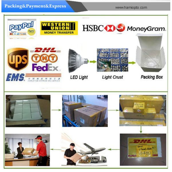 Solar LED Candle Light DC12V for hotel