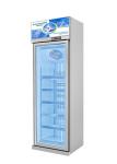 Energy Efficiency Commercial Display Freezer Upright Refrigerator For Shop