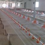 Automatic Water Bowl For Chickens Poultry Drinking Line Parts Stainless