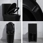 Siphon Dual Flush Valve Bathrooms Toilets Matte Black Csa Toilet With 10.5 Rough