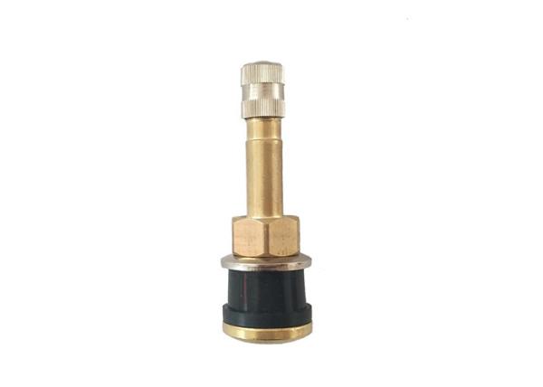 Truck and Bus Straught Brass Tire Valve TR500 V3.21.2 55mm Size ISO9001