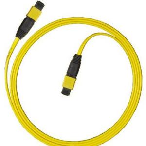 China MPO MTP Fiber Optic Patchcord Fiber Jumper Cables MPO Or MTP wholesale