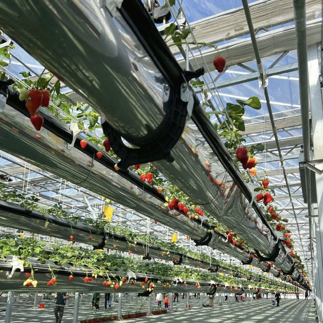 Glass Greenhouse Hydroponics System for Flower Cultivation