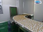 Biscuit Making Auxiliary Machine PVC Belt Conveyor Machine Independent Motor