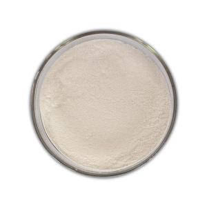 China Baking Industry Enzymes 100000U/G Amylase Enzyme For Bread wholesale