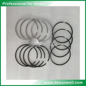 China Dongfeng Cummins ISF Diesel Engine Overhaul Kits Piston Ring 4976251 4976252 5269330 wholesale