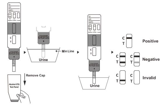 150ng/Ml 95.8% High Accurate CAT Urine Test Drug Abuse Test Kit