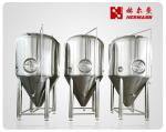 20BBL Conical Fermentation Tank