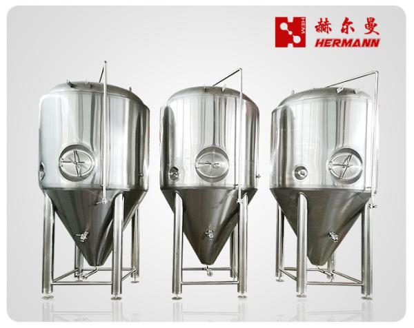 20BBL Conical Fermentation Tank