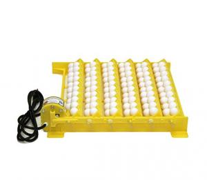 China 80W Easy Operate Bird Egg Incubator 48 Eggs Capacity High Hatching Rate on sale