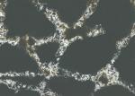 High Tenacity Honed Black Quartz Countertops 93% Natural Quartz 7% Resin