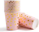DT2096 Disposable Party Tableware