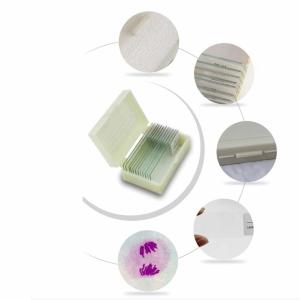 China Boutique Meiosis Medical Research 12PCS Pre Prepared Microscope Slides wholesale
