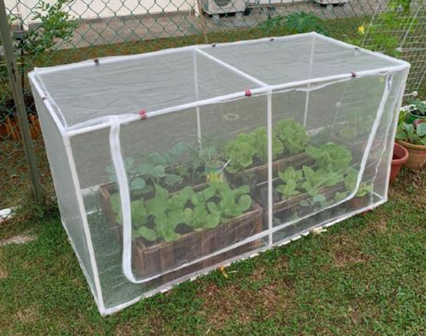 Customized Size Insect Net 50 Mesh Agricultural Insect Prevention Net