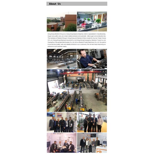 Automatic Multi-Functional Waffle Ice Cream Biscuit Production Equipment, With After-Sales Service