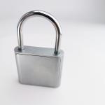 Anti Theft Fingerprint Door Lock Keyless Smart Lock Fingerprint Padlock