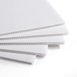 China PP Corrugated Plastic Sheet Corflute Board Foldable Lightweight Customized Durable wholesale