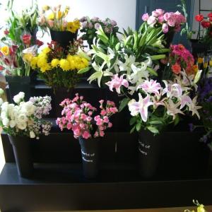 China Rectangle Coroplast Flower Shop Display Stand 3 Tiers Weather Resistant wholesale