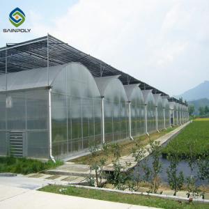 China Multi span pc greenhouse Sainpoly agricultural greenhouse invernadero polycarbonate other greenhouses wholesale