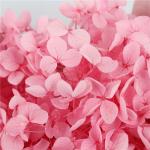 Decorative Wall Natural Touch Preserved Hydrangea Color Chart Available