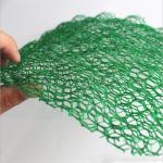 CE/ISO9001/ISO14001 Certified 3D Plastic Drainage Geomat Customized for Erosion