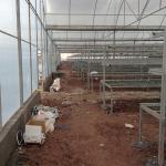 Hydroponic Growing System Multi Span Greenhouse Plastic Film Shading Net