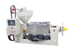 China Automatic Oil Pressing Hot&amp;Cold Oil Press Machine For Castor Oil Neem Oil Press Machine wholesale