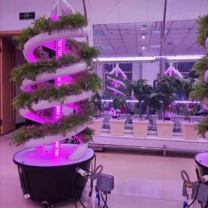 China Vertical Spiral Plant Grow Hydroponic Tower Cultivation garden aeroponics System wholesale
