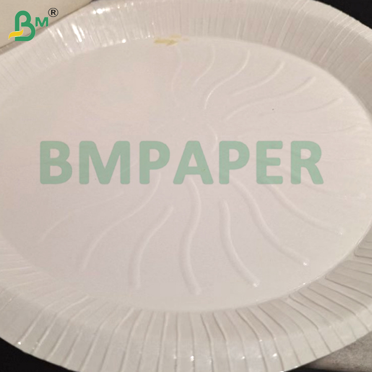 230gsm Waterproof Resistant Food - Grade Safety PET White Paper Board For Dinner Plate