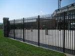 Powder Coated Steel Trellis Fence , Garden Palisade Fencing For Decoration