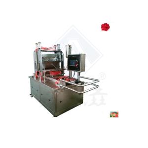 China 20-50kg/h Multifunctional Assorted Fruit Bean Gummies Depositer Jelly Gummy Candy Making Machine wholesale
